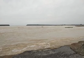 Sardobalik fermer toshqin vaqtida suvda oqib ketayotgan ikki qizaloqni qutqarib qoldi фото