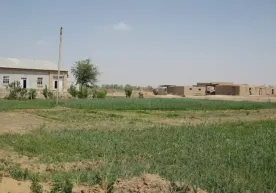 O‘zbekistonda yer uchastkalari bo‘yicha yangi qonun qabul qilindi фото