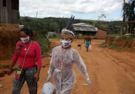 Keyingi pandemiyaning ehtimoliy sababi Amazoniyadagi virus bo‘lishi mumkinligi ma’lum qilindi фото
