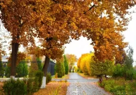 16 декабрь куни Ўзбекистонда қандай об-ҳаво кутилмоқда фото