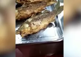 Қовурилган балиқ бирдан жонланиб кетди (видео) фото
