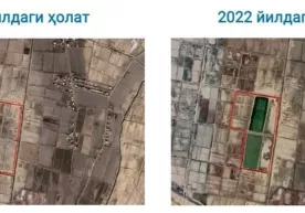 Xorazmda yer talon-toroj qilinishi bilan bog‘liq jinoyat fosh etildi фото