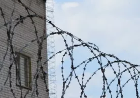 Бўкадаги колонияда маҳкум бошқа бир маҳкумни уриб ўлдирди фото