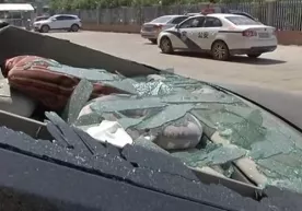 Хитойда юқори қаватлардан тушиб кетган тошбақа автомобилни яроқсиз ҳолга келтирди фото