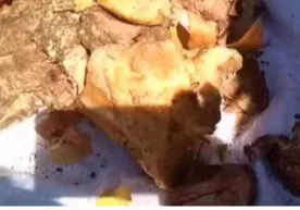 Bogʻcha mudirasi tekshiruvchilardan qoʻrqqanidan aynigan goʻshtni axlatga tashladi (video) фото