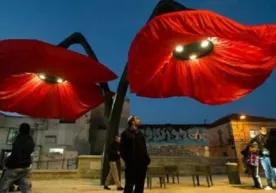 Quddus shahridagi “sehrli” chiroqlar (foto) фото