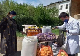 Бош прокуратура картошка ва ун маҳсулотини аҳолига арзон ва кафолатли етказиб берилиши таъминланишини билдирди фото