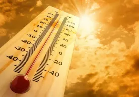 Бугун Тошкентда +41°С гача иссиқлик кутилмоқда фото