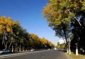 Dam olish kunlari havo haroratining ko‘tarilishi kutilmoqda фото
