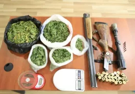 “Марихуана” гиёҳвандлик моддаси ҳамда ов қуроли ва патронлар фош этилди фото