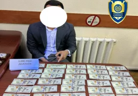 Toshkentda AQSHga Meksika orqali yuborish evaziga 20 ming dollar so‘ragan talaba ushlandi фото