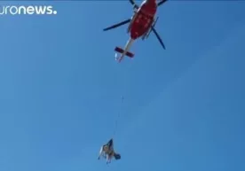 Italiya aholisi “uchayotgan” sigirni tasvirga oldi (video) фото