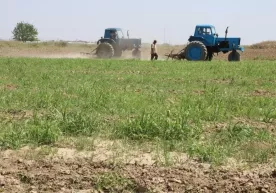 Qishloq xo‘jaligiga mo‘ljallangan yerlarni ijaraga berish tartibi o‘zgartirildi фото