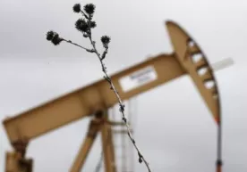 Нефть қазиб олишни камайтиришда АҚШ ҳам қўшилгани Россиянинг ғалабасими? фото