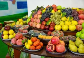 Россияга мева-сабзавотларни етказиб бериш ҳажми йилига 1 миллиард долларгача оширилади фото