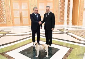 Gurbanguli Berdimuhamedov Shavkat Mirziyoyevga alabay sovg‘a qildi фото