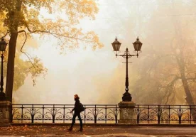 Буларни менга ҳаёт ўргатди... фото