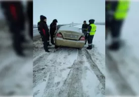 Orenburgda egasiz qoldirilgan Qashqadaryo viloyati raqamli Neksiya topildi фото