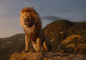 Yangi “Qirol sher”: Yugur, Simba, yugur (video) фото