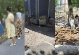 Toshkentda o‘qituvchilarni majburiy mehnatga jalb qilgan maktab direktori jazolandi фото