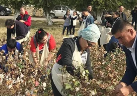 Halima Ibragimova g‘azabda! San’atkorlarning paxta terishi xo‘jako‘rsinga uyushtirilganmidi? фото