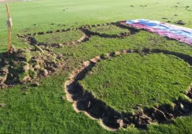 Sloveniyada muxlislar klub rahbariyati uchun futbol maydonida qabrlar kavlashdi фото