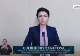 Ўзбекистонда ёлланма теримчилар пахта даврида ким билан қандай шартнома имзолайди? фото