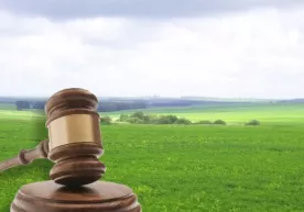 Yer uchastkalari kimlarga auksionsiz beriladi? фото