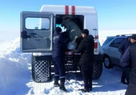 Kelin-kuyov bo‘ron tufayli dovonda qolib ketishdi фото