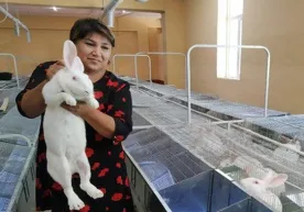 Quyonlar ham, ish o‘rinlari ham ko‘paymoqda фото