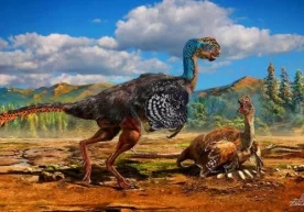 Zamonaviy qushlarning tuxumi nega rangli? Ular dinozavrlar avlodimi? фото