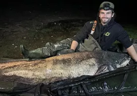 A giant fish was caught in Great Britain (video) фото