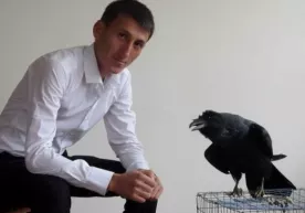 Қарғага 32 тилда гапиришни ўргатган ўзбекистонлик йигит оламдан ўтди фото