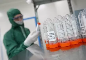 Koronavirusning eng xavfli jihati ma’lum qilindi фото