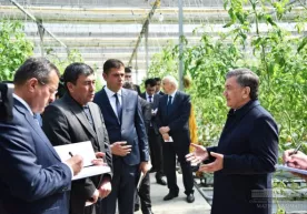 Shavkat Mirziyoyev: «Oqdaryo tumanini paxtadan ozod qildik» фото