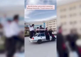 Qashqadaryolik bitiruvchi talabalarga chora ko‘rildi (video) фото