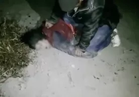 Samarqandda fermerning ukalari xo‘jalikda ishlagan ayolni kaltaklab, buni videoga oldi фото