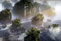 Sony компанияси табиатни қутқариш учун антиқа қарор қабул қилди фото