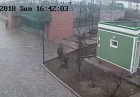 Andijondagi hayvonot bogʻi qorovuli sherlar qafasiga kirgani tasvirlangan video фото