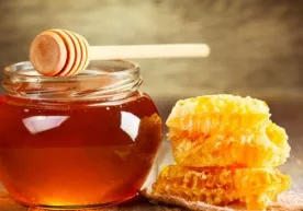 Асални ҳар куни истеъмол қилиш организмга қанчалик фойдали? фото