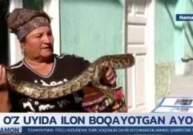 Bug‘ma ilonlarni o‘ynatuvchi kosonsoylik ayol haqida videolavha фото