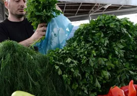 Petrushka urug‘larini yetishtirish uchun – uch yilgacha qamoq фото