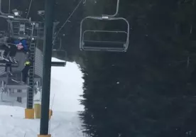 Kattalar talmovsirab turgan vaqtda oʻsmirlar yordamga oshiqishdi (video) фото