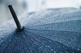 Тошкентда 10-11 октябрь кунлари ёмғир ёғиши кутилмоқда фото