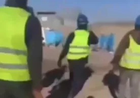 Қашқадарёда хитойликлар эшак сўйиб истеъмол қилаётгани айтилмоқда фото