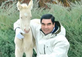 Turkmaniston Prezidenti yangi tug‘ilgan toychasiga atab she’r yozdi фото