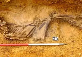 Britaniyada 2 ming yil avval yashagan odam skeleti topildi фото