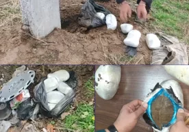 ДХХ гиёҳванд моддалар савдосига қарши тадбирлар ўтказди (фото) фото