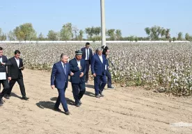 Президент Сирдарёда пахта даласида (фото) фото
