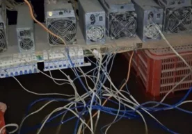 Самарқандда 2,2 млрд сўмдан зиёд зарар келтирган майнинг фермаси фаолияти тўхтатилди фото